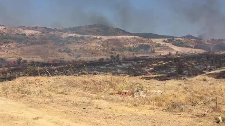 Foçada 4 hektar makilik alan yandı