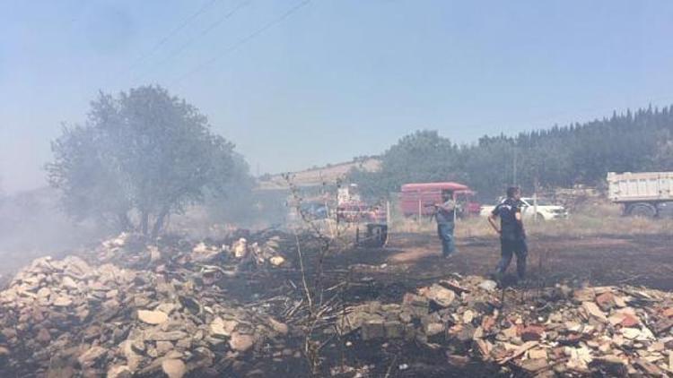 Turgutluda 20 dönüm makilik alan yandı