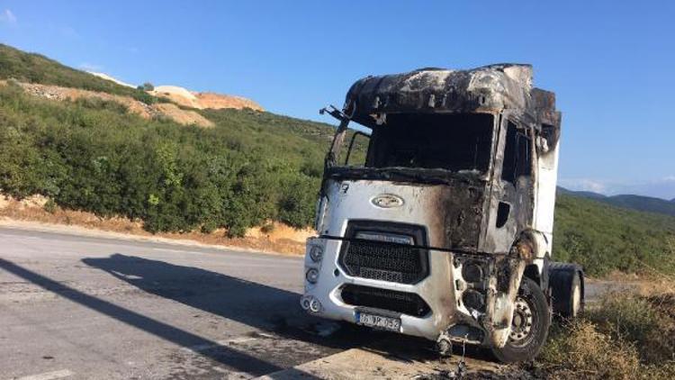 Park halindeki kamyon alev alev yandı