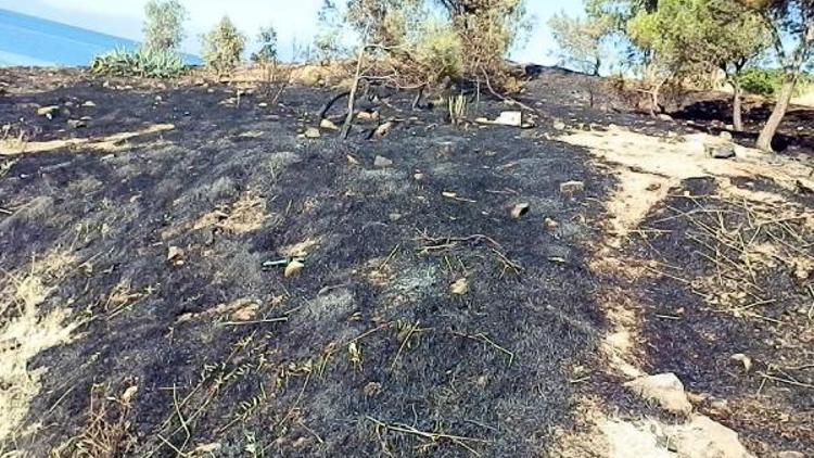 Foçada 1 hektar makilik alan yandı