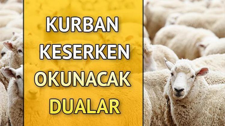 Kurban kesme duası nedir Kurban duası ayeti nedir