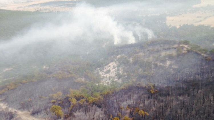 Eskişehir’deki orman yangını 15 saatte kontrol altına alındı