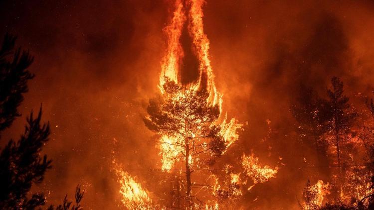 Yunanistan’daki orman yangını devam ediyor: 8 yaralı