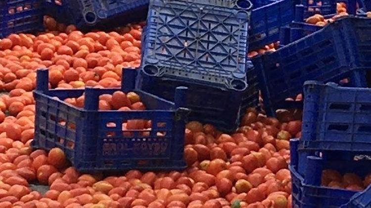 Çöp konteynerlerine dökülen domates görüntüleri ile ilgili açıklama