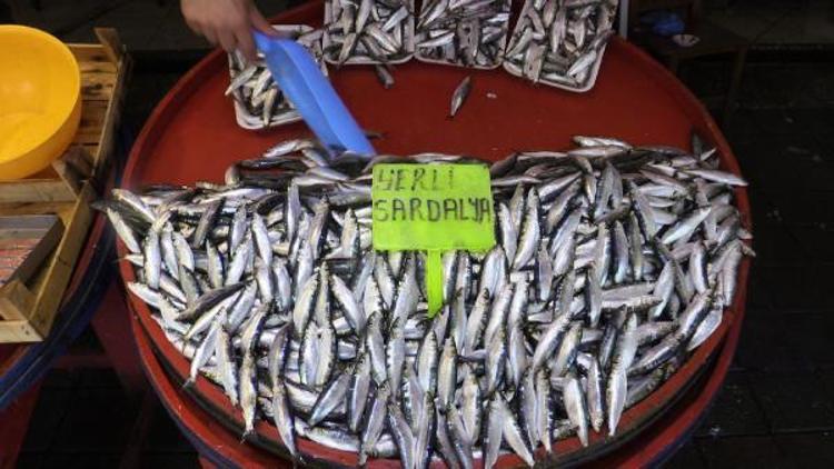 Bandırma’da Kurban Bayramı balık satışlarını etkilemedi