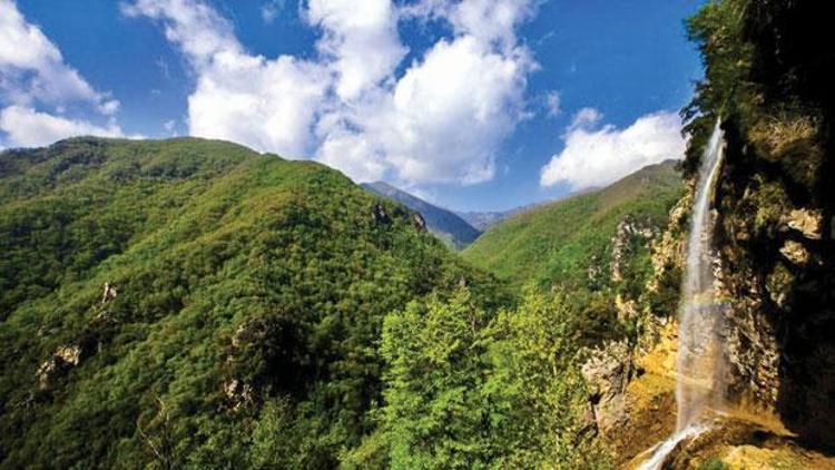 Türkiye’nin canlı çeşitliliği açısından en zengin 10 dağı