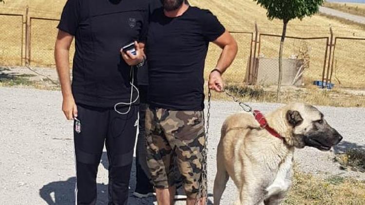 Beşiktaş Başkanı Fikret Orman, kangal çiftliğini ziyaret etti