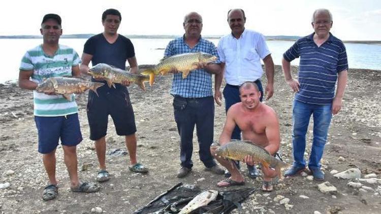 Malkarada balık tutma yarışması