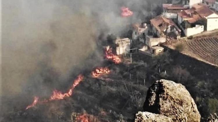 Kanarya Adalarındaki yangında 12 bin hektardan fazla alan kül oldu