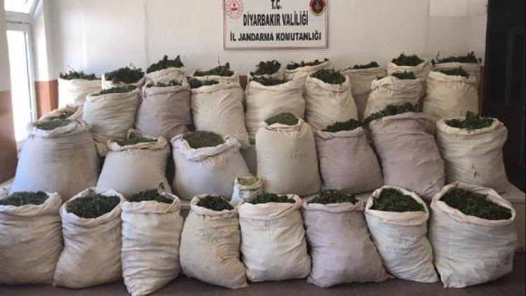 Licedeki terör operasyonunda 974 kilo esrar ele geçirildi