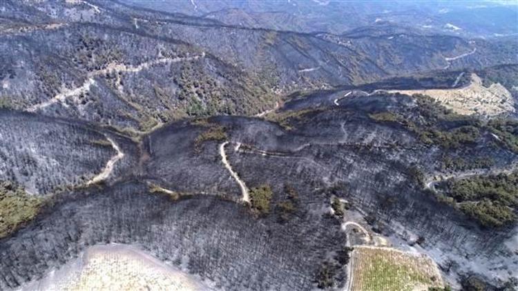 İzmirde özel ekip kuruldu, orman yangınının nedeni araştırılıyor