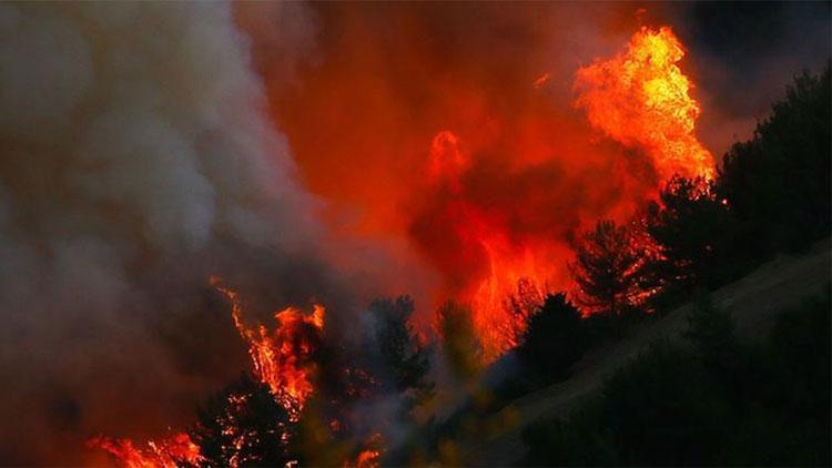 Meteorolojiden orman yangını uyarısı