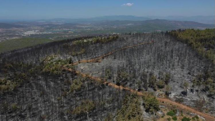 Bodrumda yanan ormanlık bölge havadan görüntülendi
