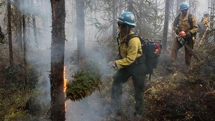 Alaska’da orman yangını yerleşim yerlerine sıçradı