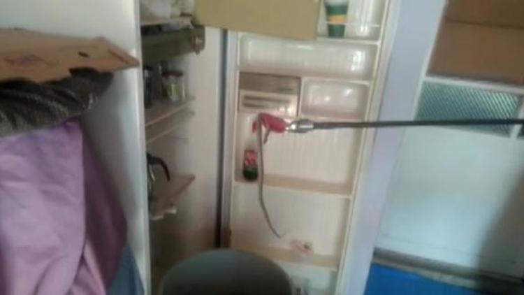 Buzdolabındaki yılan korkuttu