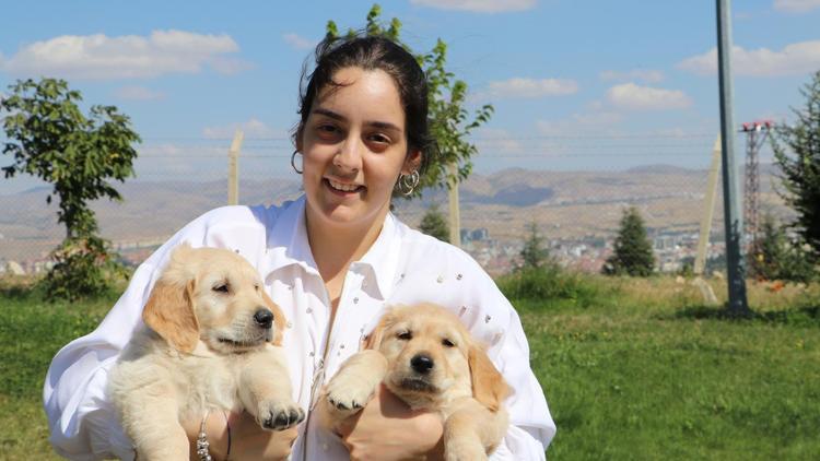 Görme engellilere rehber köpek eğitiyor