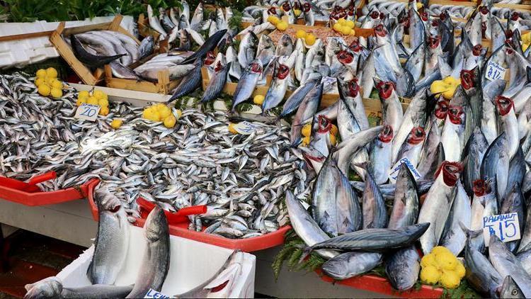 Yasa dışı balık avcılığına 18 milyon lira ceza