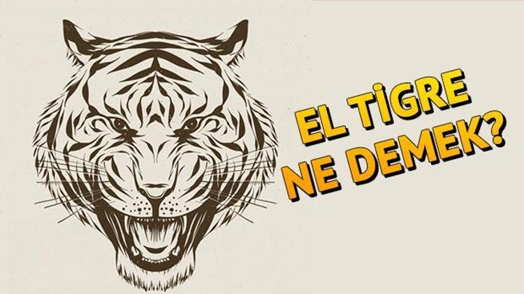 El Tigre ne demek Falcaoya neden El Tigre deniliyor