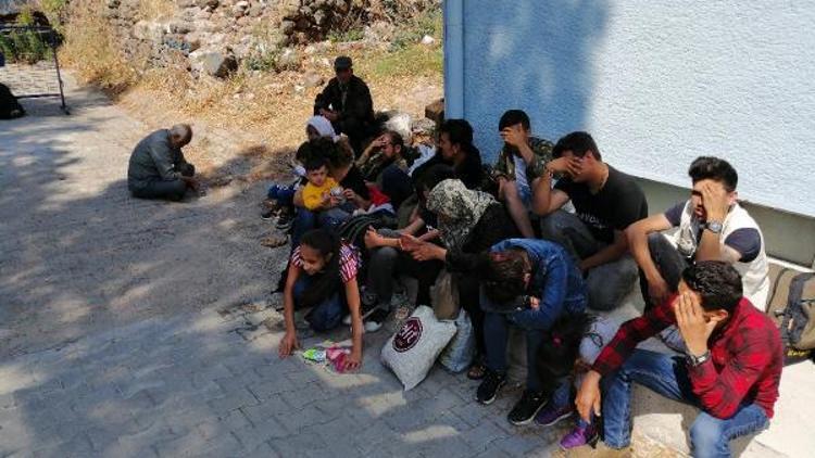 Ayvacıkta 50 kaçak göçmen yakalandı