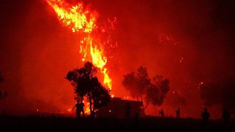Bir ayda 300 orman yangını çıktı Uzmanlar uyardı