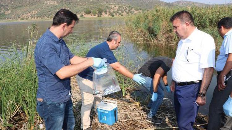 Selçuktaki balık ölümlerinin araştırılması için gölden numune alındı