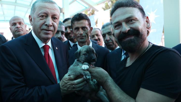 Cumhurbaşkanı Erdoğana Kangal köpeği hediye edildi