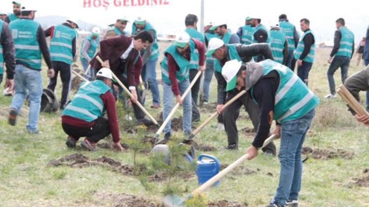 ‘Denetimli çevreciler’ 1 milyon 150 bin ağaç dikti