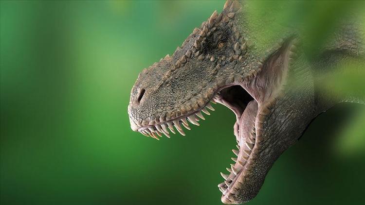 T-Rexlerin kafataslarında klima işlevi gören delikler keşfedildi