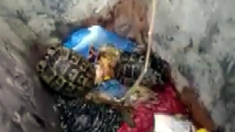 Çöpe atılan kaplumbağaları, temizlik görevlisi kurtardı