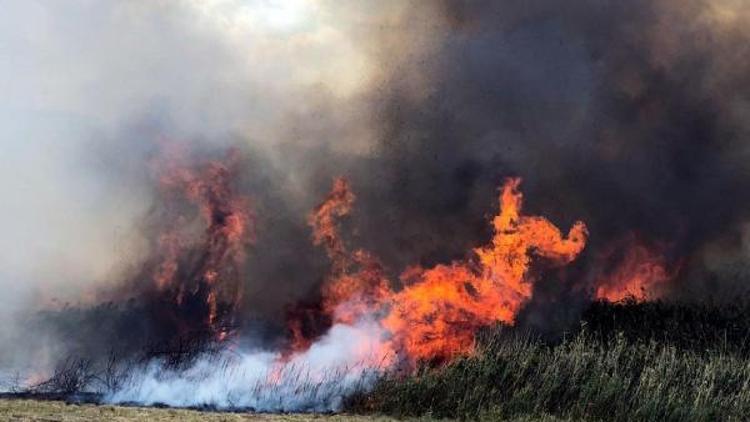 Lüleburgazdaki anız yangını 1 hektarlık alanı kül etti