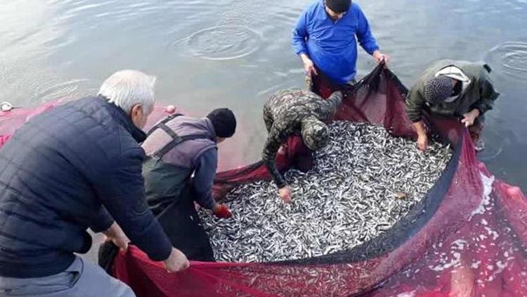 Marmara Denizi’nde palamut yok, hamsi çok