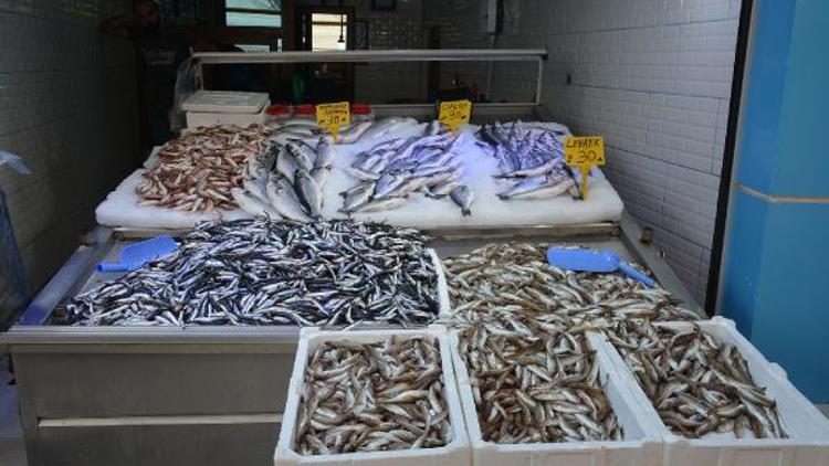 Sinopta balık azlığı fiyatlara yansıdı