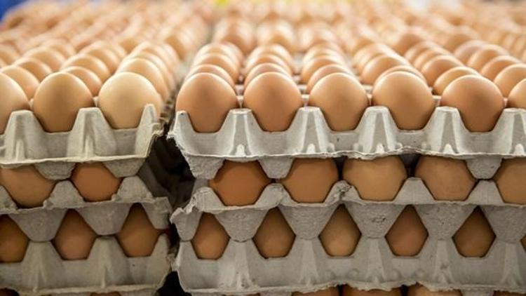 Pratik Bilgiler: Yumurtayı Buzdolabına Koymak Yanlış mı?
