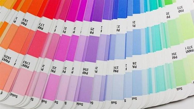 Pantone 2019 Yılının Rengini Açıkladı!