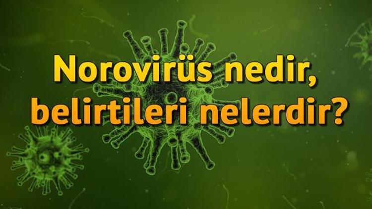 Norovirüs nedir, belirtileri nelerdir