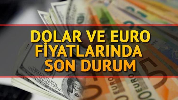 Dolar fiyatları bugün ne kadar Güncel dolar ve euro fiyatları