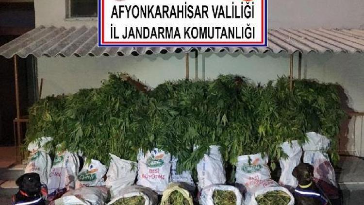 Jandarmadan uyuşturucu operasyonu