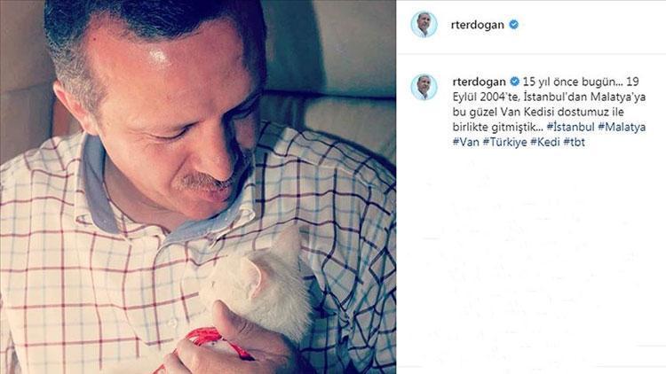 Cumhurbaşkanı Erdoğandan Van kedili tbt paylaşımı