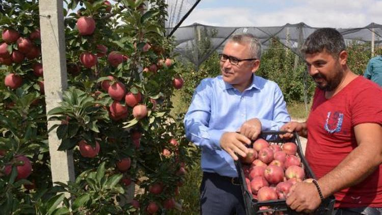 Vali Şimşek Borda elma hasadı yapan işçilerle buluştu