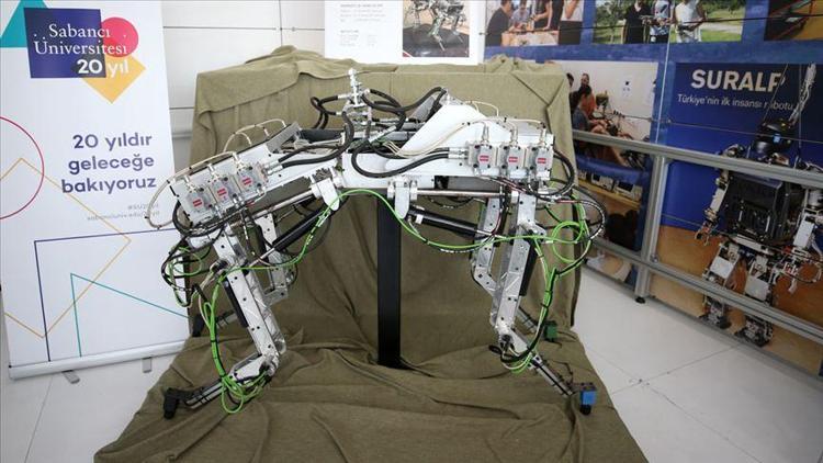 Dört bacaklı kangal robot görücüye çıktı