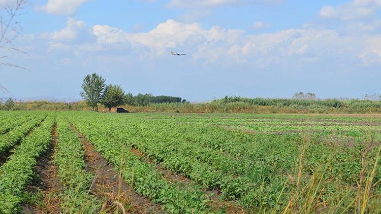 Çiftçilere 200 milyon metrekare Hazine arazisi kiraya verilecek