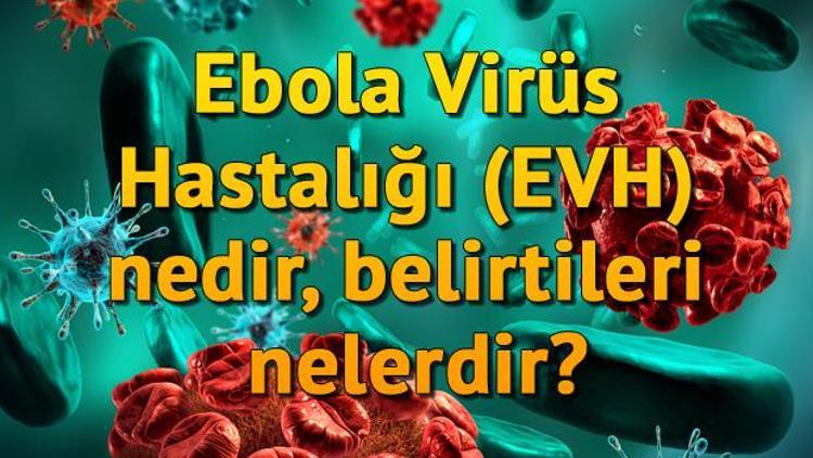 Ebola Virüs Hastalığı (EVH) nedir, belirtileri nelerdir