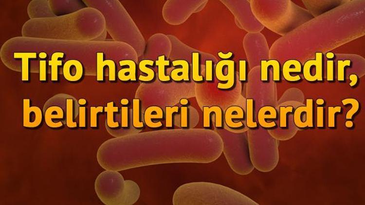 Tifo hastalığı nedir, belirtileri nelerdir