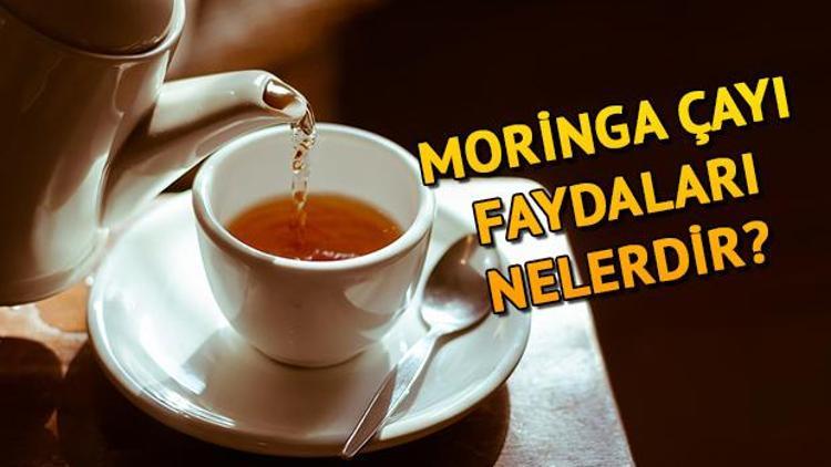 Moringa çayı nedir Moringa çayı faydaları ve zararları nelerdir