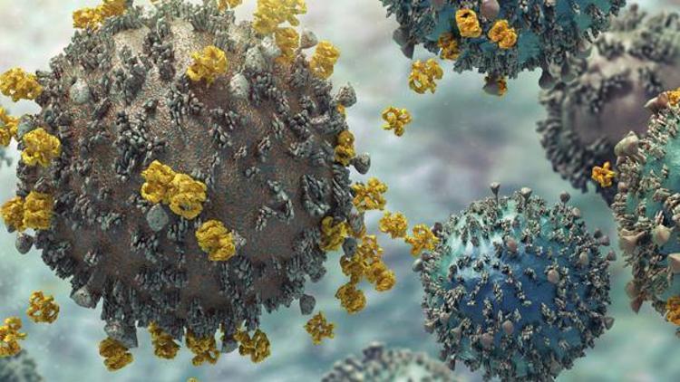Hepatit C virüsü nedir, belirtileri nelerdir