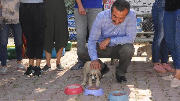 Başkan Soner Çetin, Hayvan Barınağında köpekleri besledi