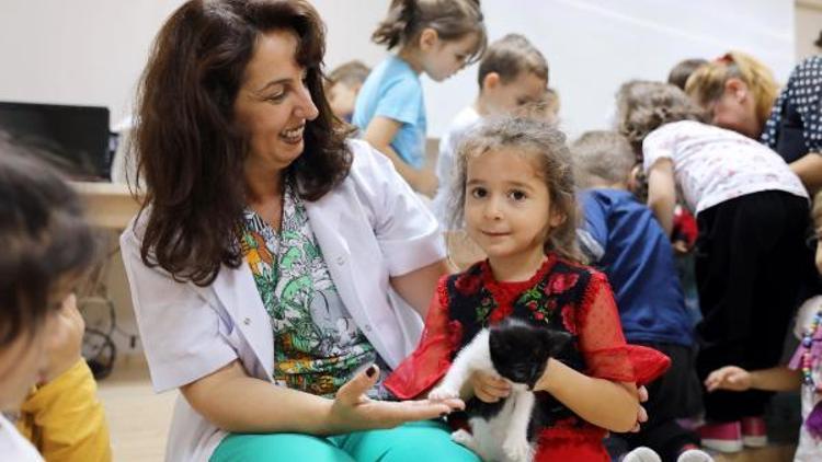 Mudanya’da kreşe giden çocuklar sokak hayvanlarıyla buluştu