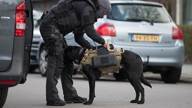Hollandada ayakkabıları ve köpeği ile camiye baskın yapan polise tepki