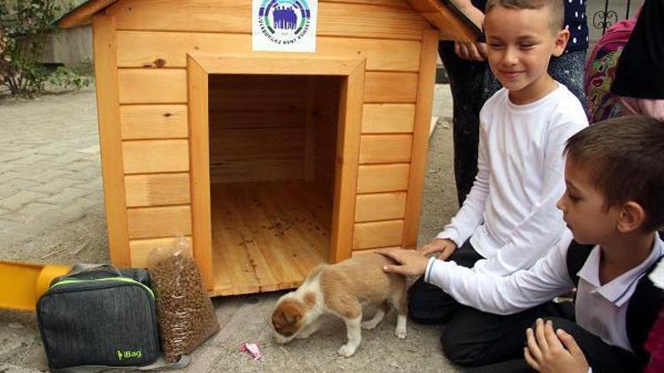 Lüleburgazda 6 okula yavru köpekler emanet edildi
