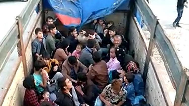 Çanakkalede 77 kaçak göçmen yakalandı